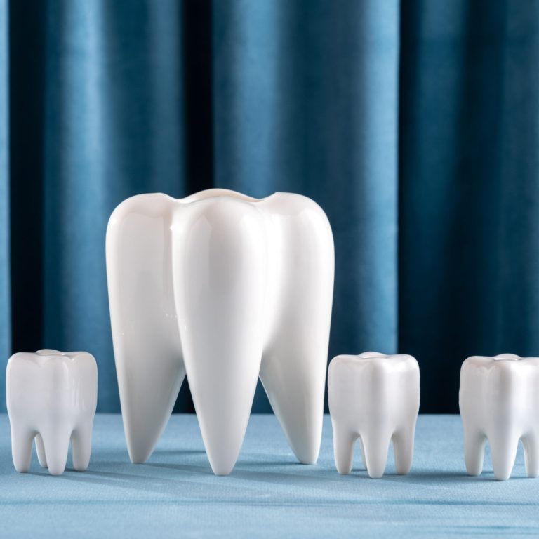 Still life with models of human teeth on the background of blue velvet curtains